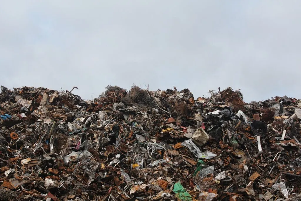 Garbage Removal