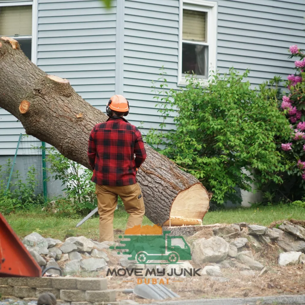tree service