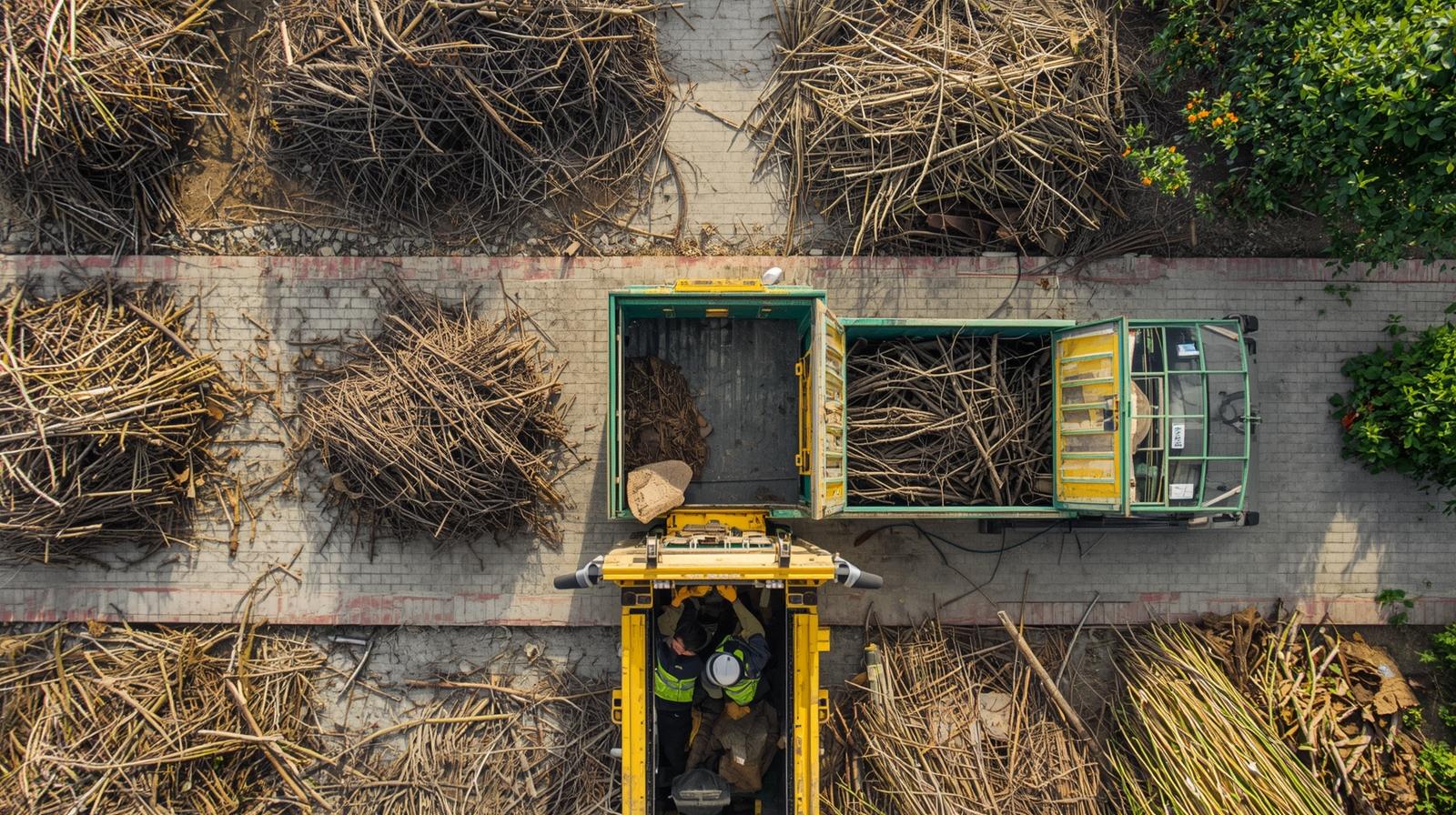 Garden Waste Removal Al Mizhar 2 (4)