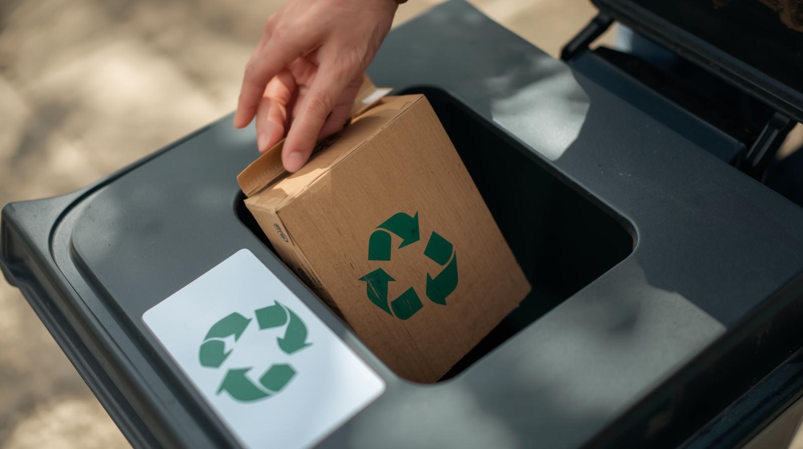Eco-Friendly Cardboard Disposal (3)