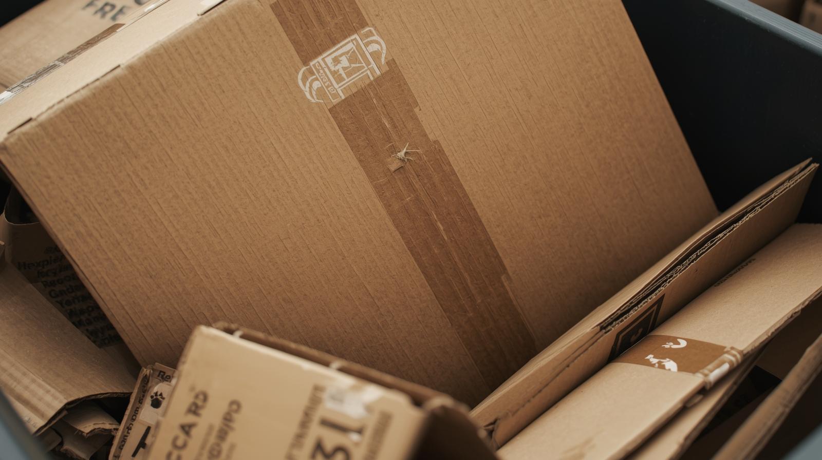 Shipping Box Disposal (5)